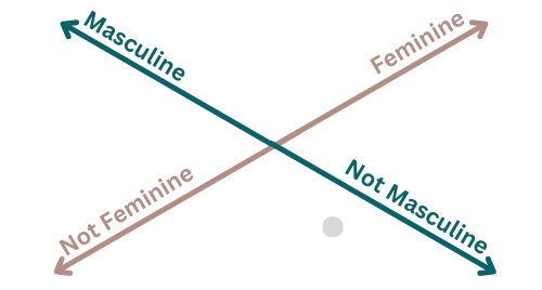 an image of two axes, saying femininity and masculinity.
