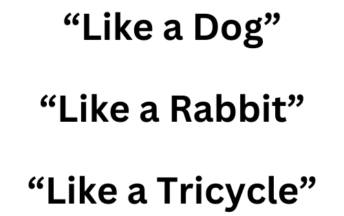 Text saying: like a dog, like a rabbit, like a tricycle.
